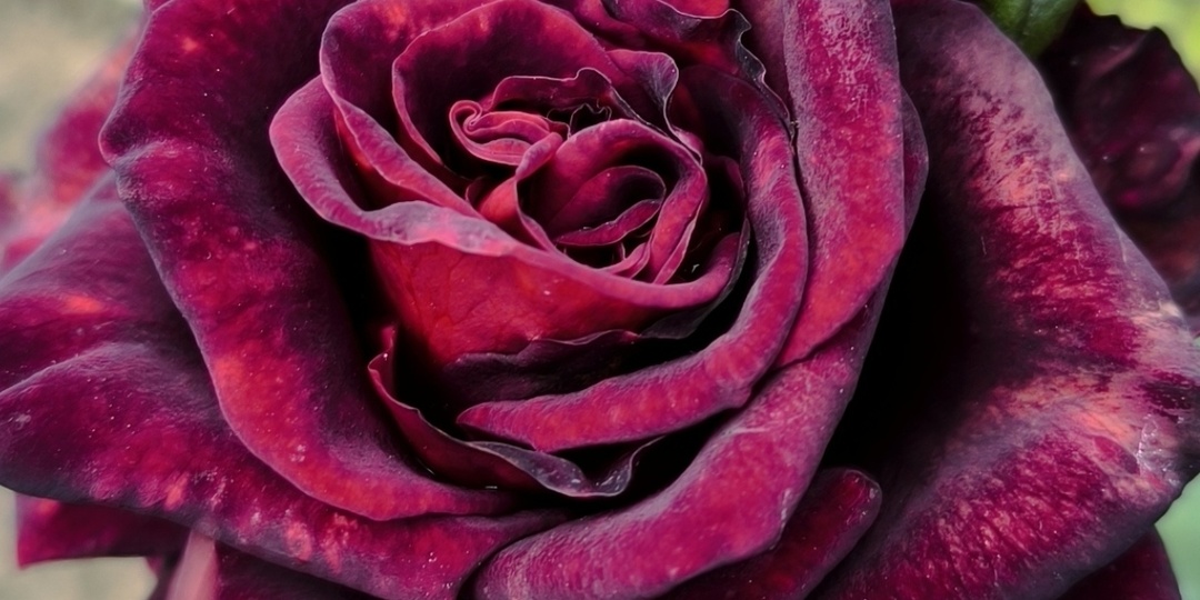 Красивое старение.