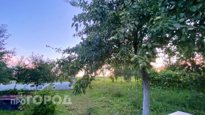    из архива "Про Город"