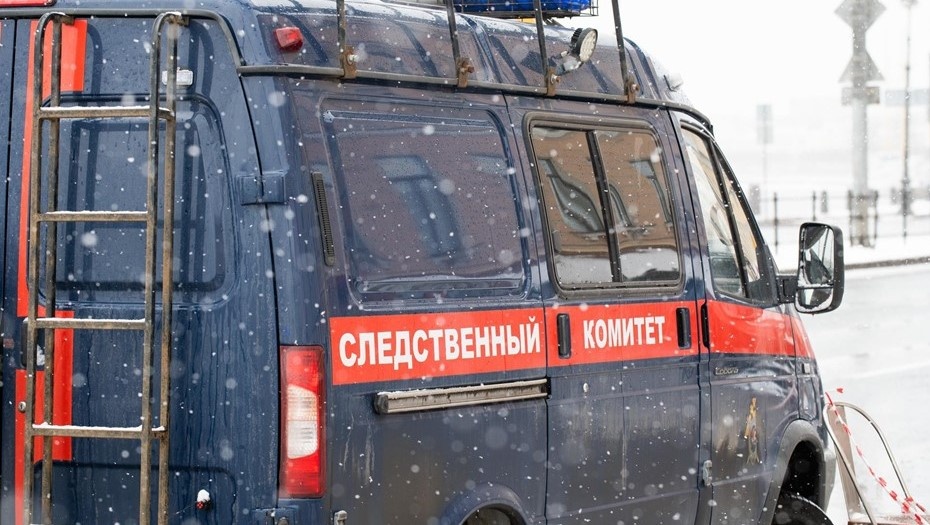 Автор фото: Сергей Ермохин / "ДП"