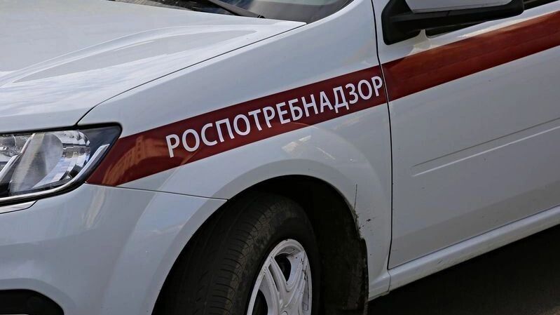    Фото: alleks19760526/Shutterstock/Fotodom