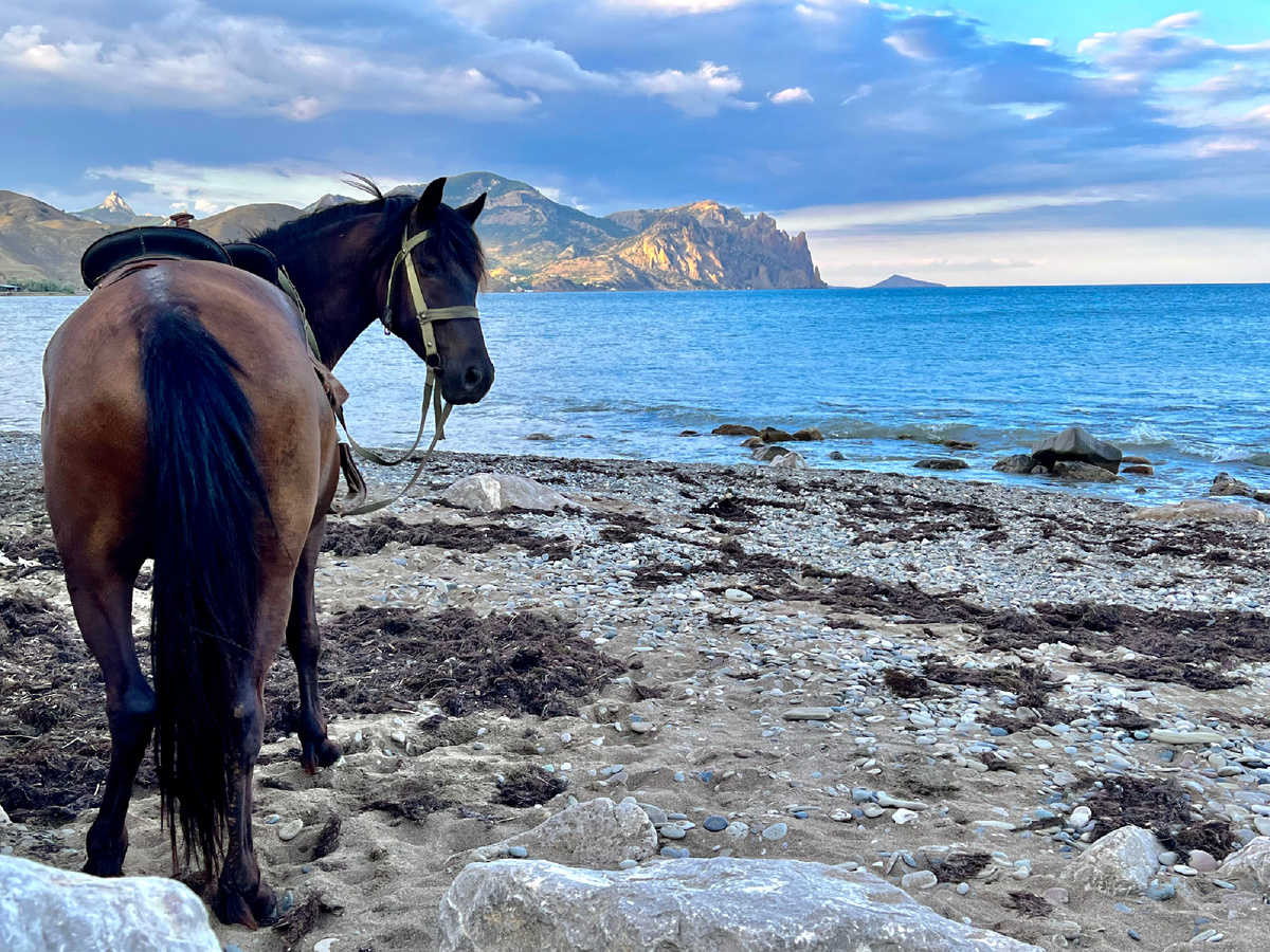 Лисья бухта. На заднем фоне — Карадагский заповедник. 