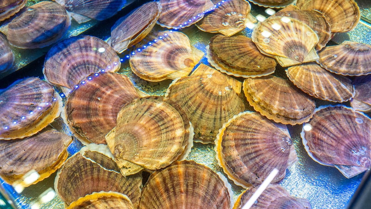    Источник: пресс-служба Департамента торговли и услуг города Москвы