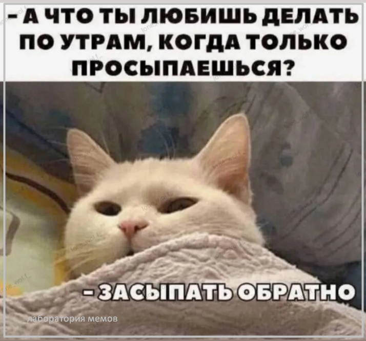 Источник фото: фото найдено на просторах Интернета в открытом источнике yandex.ru