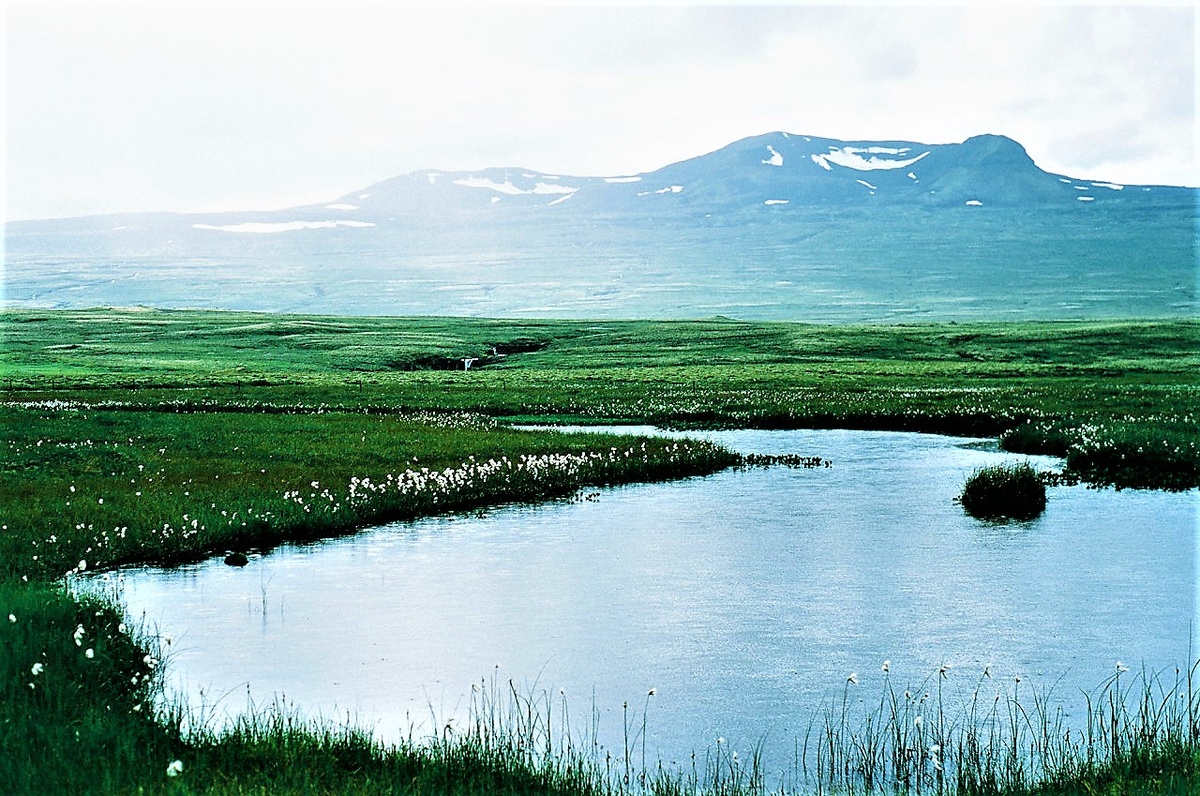 1. Озеро на мари