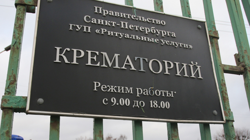    Фото: © РИА Новости/ Игорь Руссак; 5-tv.ru