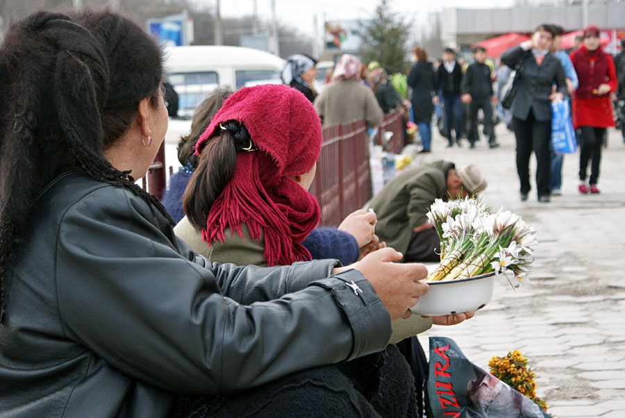 Нелегальная продажа первоцветов - крокусов (Crocus Alatavicus) в Ташкенте (нулевые годы)