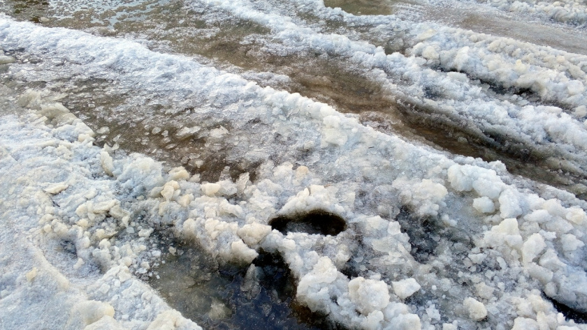    Фото из архива редакции