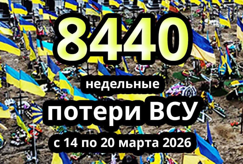    Недельные потери ВСУ