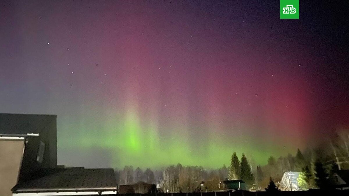    Фото: chpmoscoww / t.me