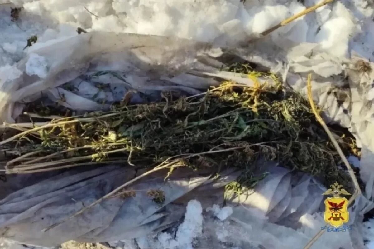    Более 7 кг наркотиков изъяли полицейские в Забайкалье