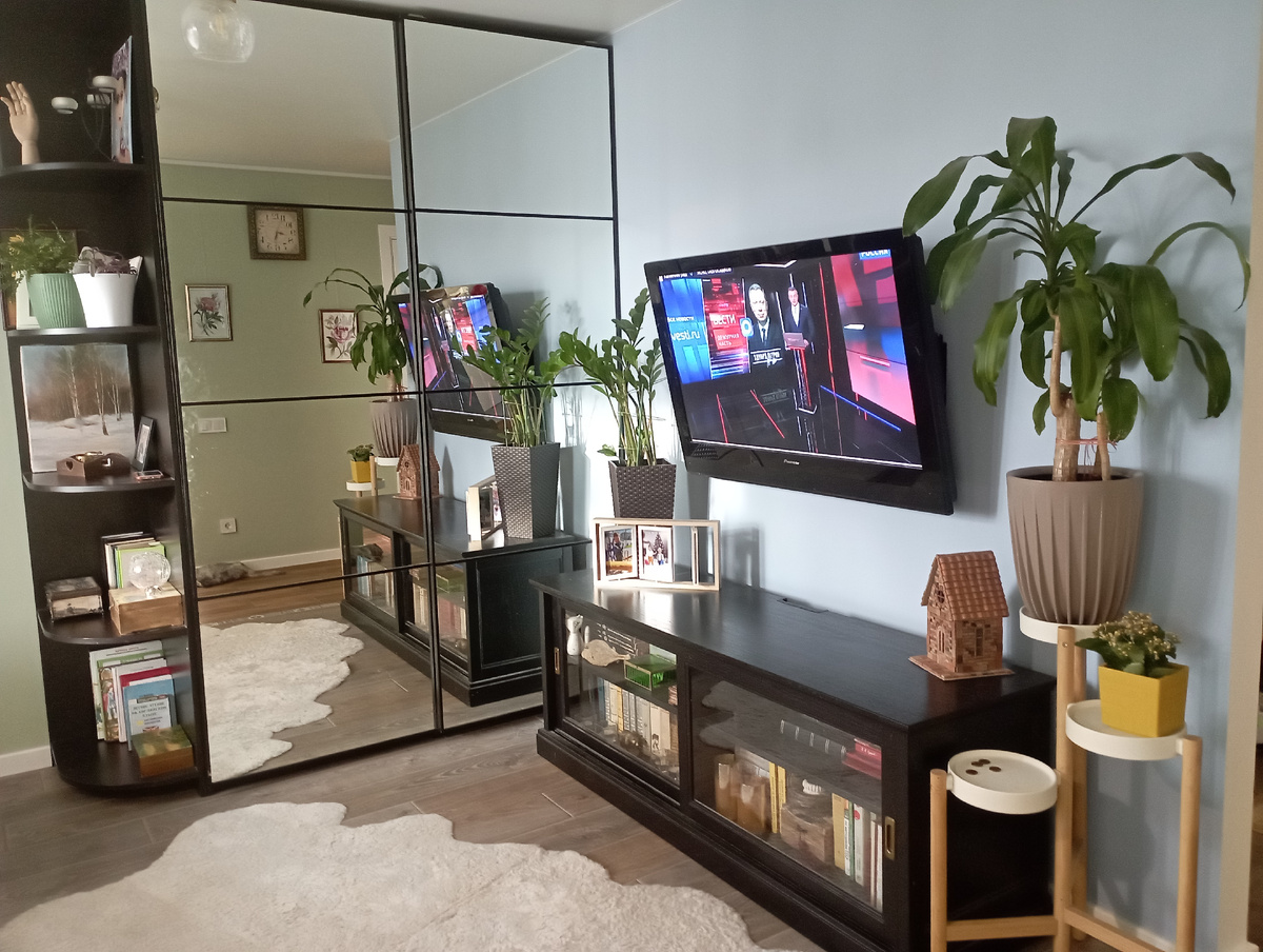 Часть книг на фотографии. Ещё немного - в шкафу с куклами, также заняты пара полок в шкафу у сына. И очень много книг - в квартире у дочери. 