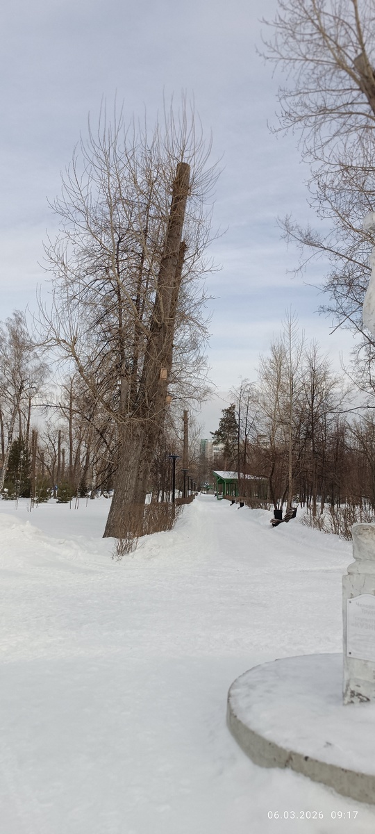 Где-то в парке. Фотография автора, март 2026 года. 