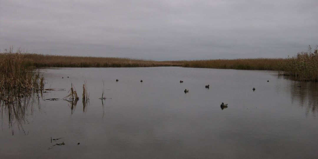 Подборка статей об открытии весенней охоты