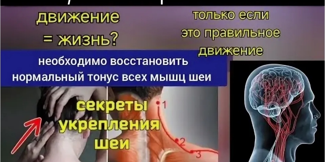 Шея: боль, шум в ушах, онемение рук. Как правильно укреплять мышцы шеи?