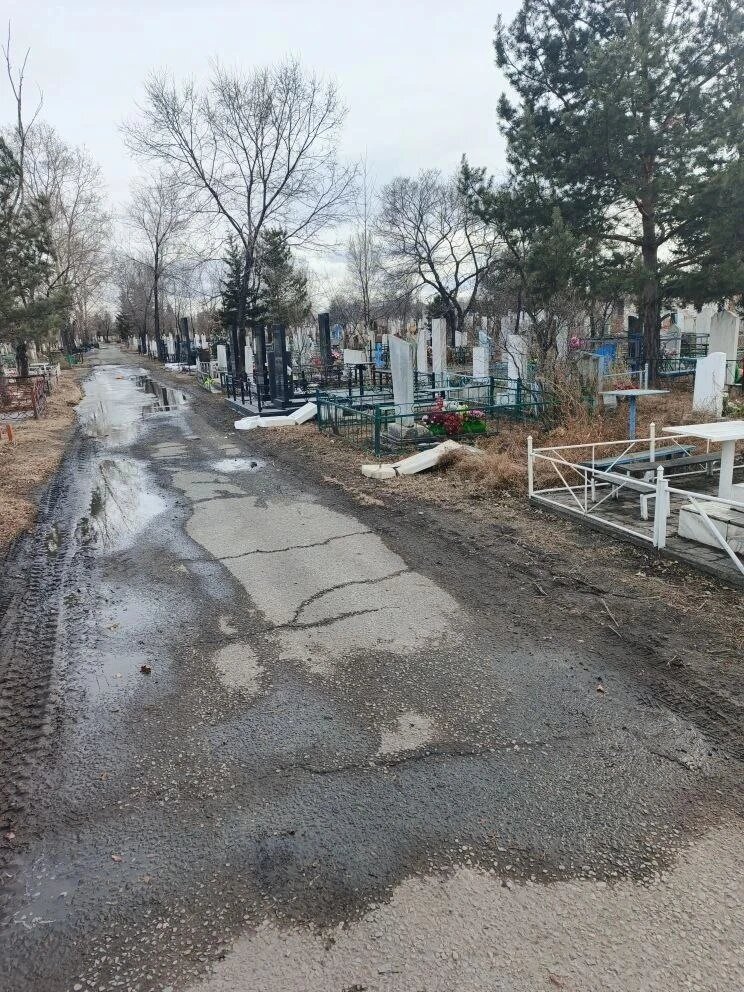 телеграм-канал Елены Гопиной