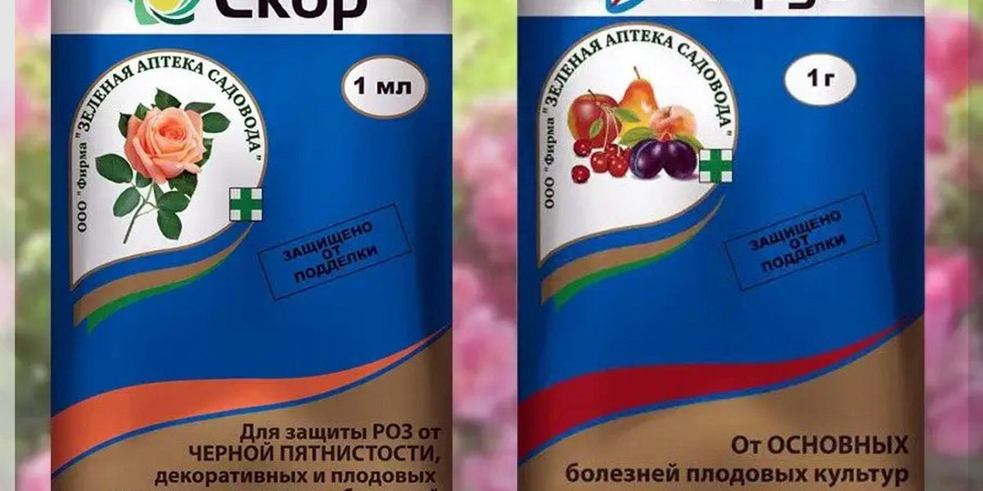 Битва фунгицидов: «Хорус» против «Скора»: в чем похожи, чем отличаются и какой препарат подойдёт вашему саду