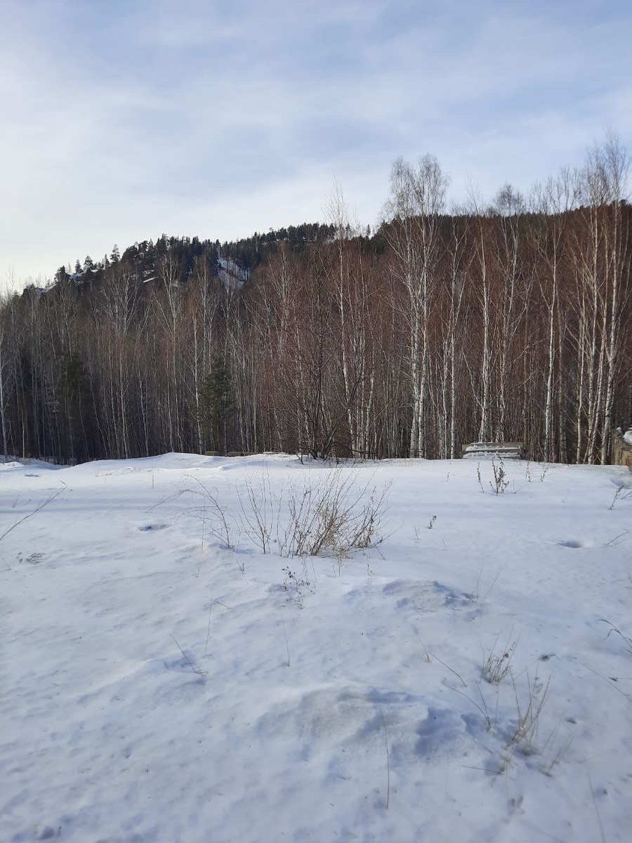 Фото автора.