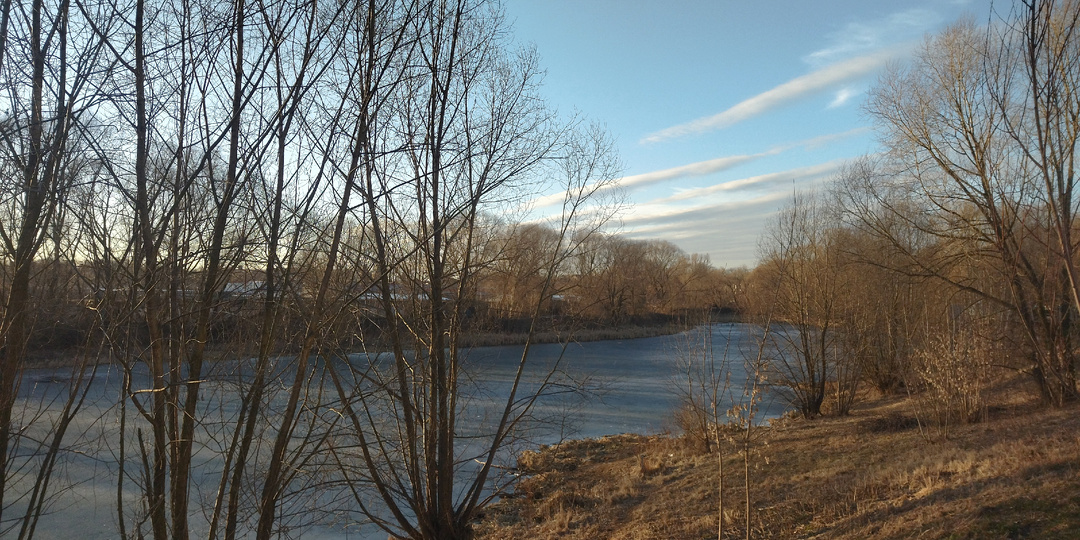 Дела, заботы, ситуация в семье и финансовые итоги третьей недели эксперимента