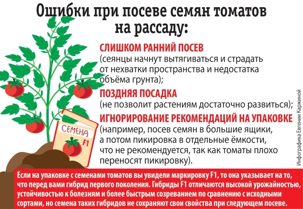    Фото: АиФ/ Евгения Каржина