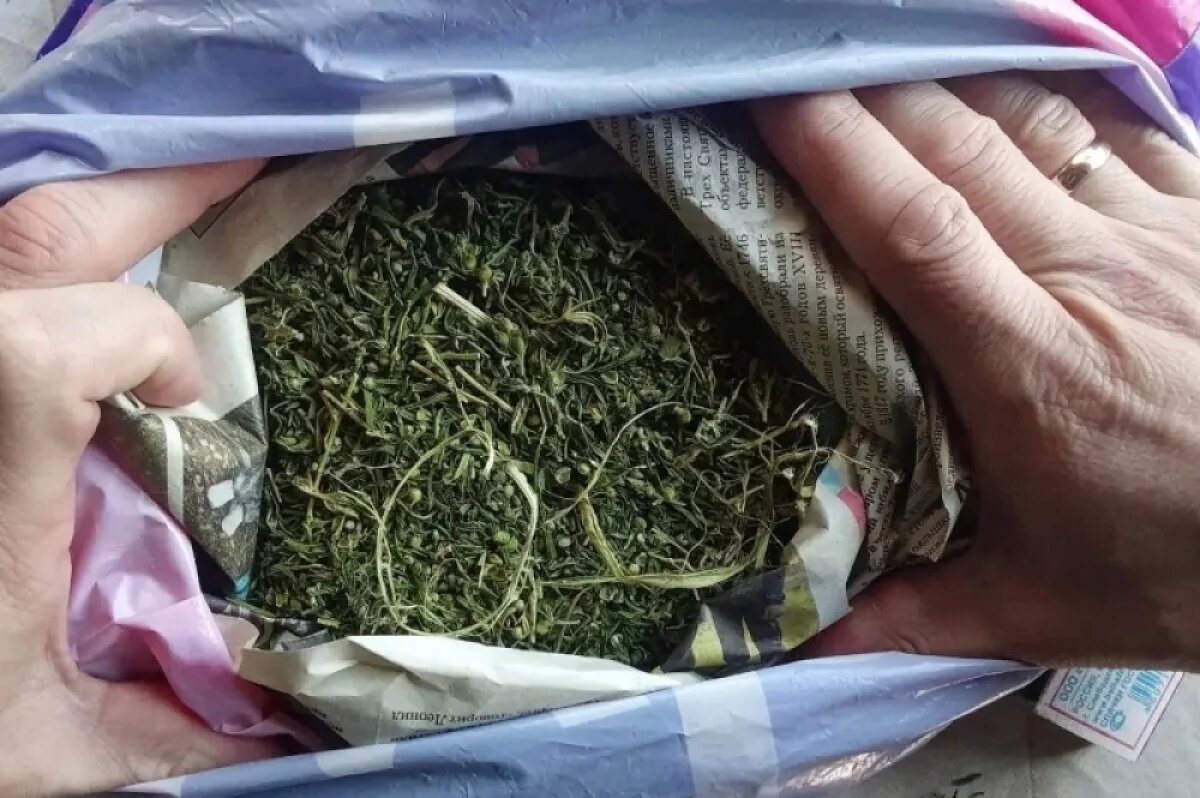    70 граммов растительного наркотика изъяли под Шумихой у ранее судимого