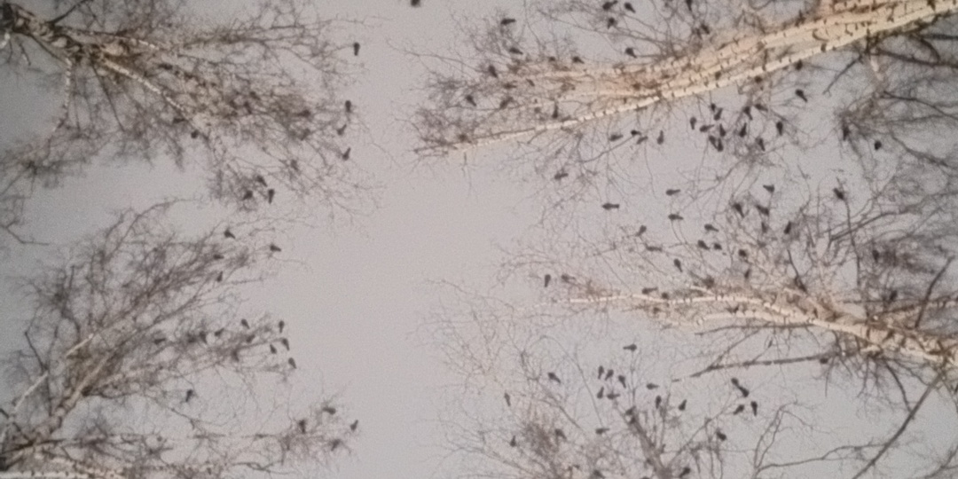 Станут ли девяностые нашей новой реальностью