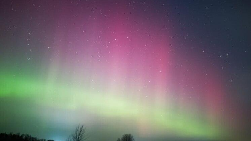    тг Жесть Ярославль с сайта static.mk.ru