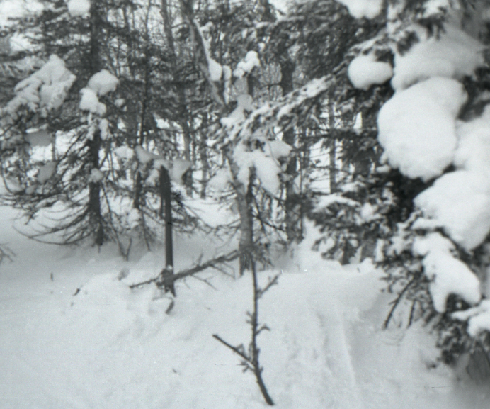 Фотография поисковиков места лабаза группы Дятлова