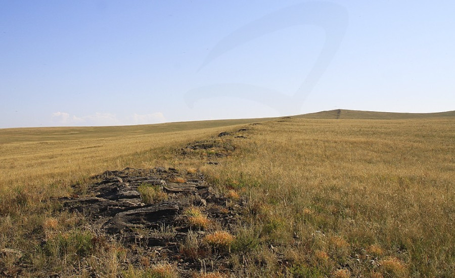 Изображение взято с сайта https://ic.pics.livejournal.com/sostavitell/86383631/49341/49341_900.jpg