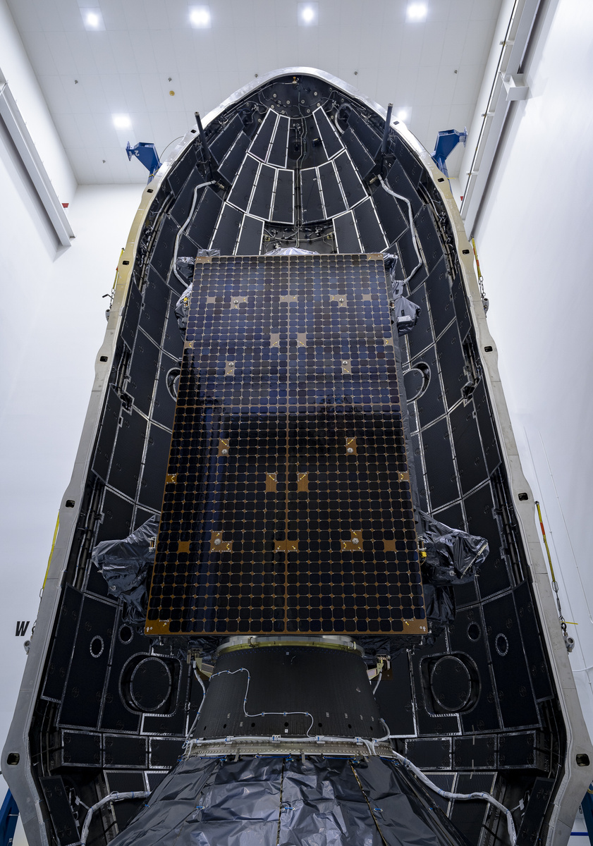 Фото SpaceX  📷
