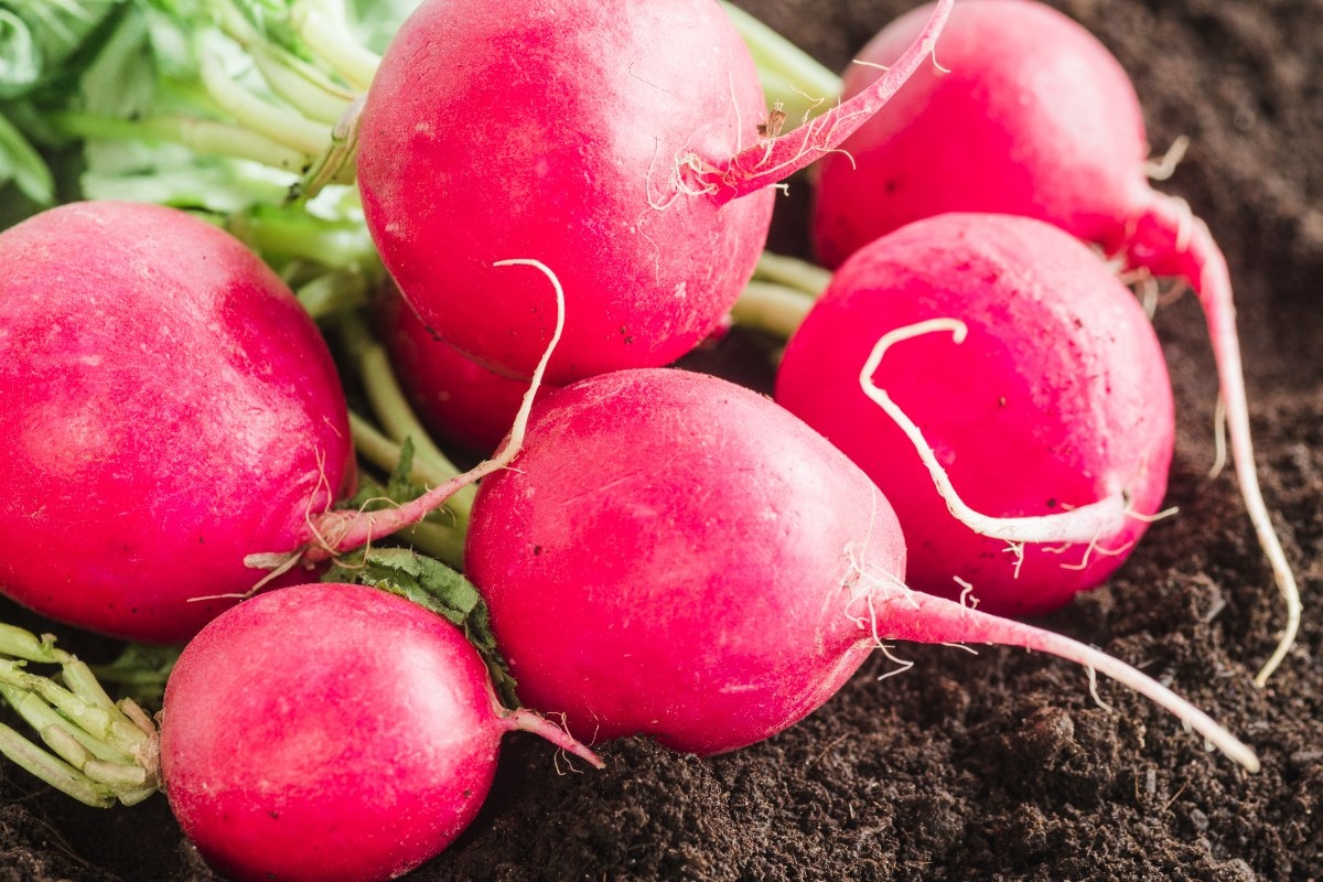    Фото: Freepik.com