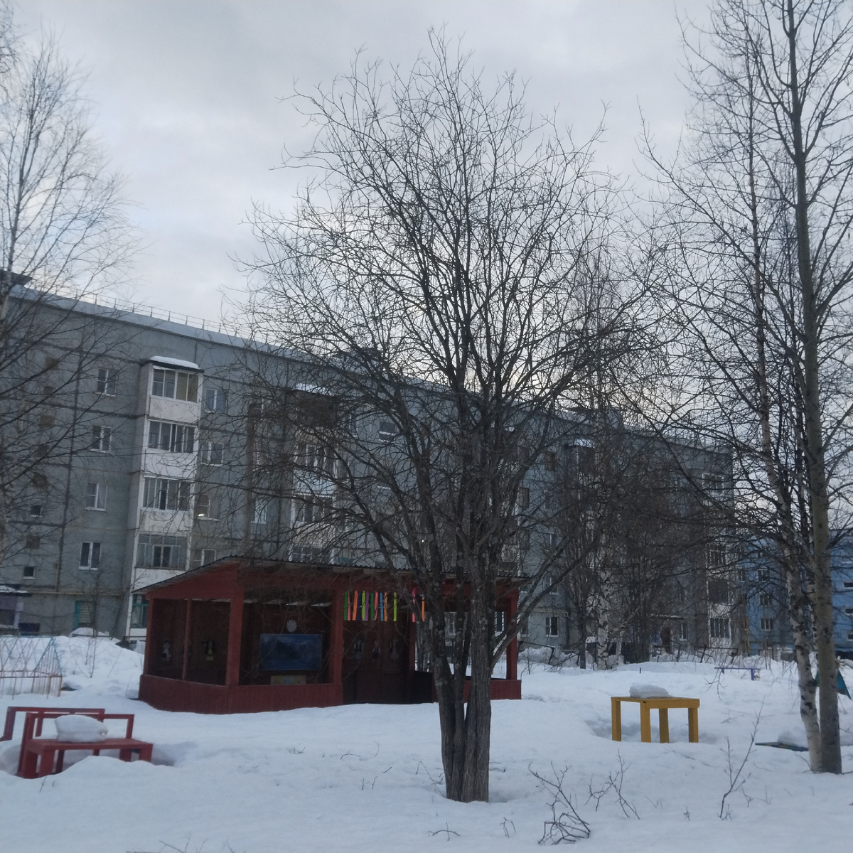 Фото автора