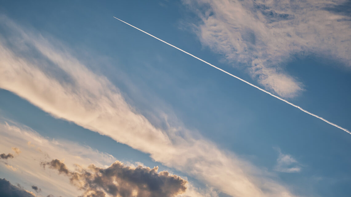    фото: ededchechine / freepik.com