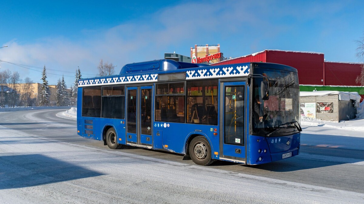    Фото: Сергей Зубков / «Ямал-Медиа»