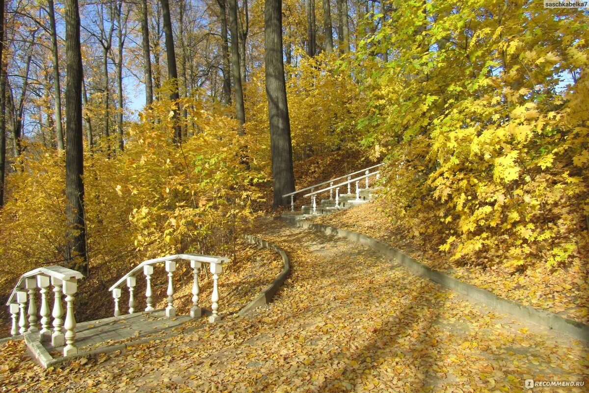 Источник Яндекс картинки