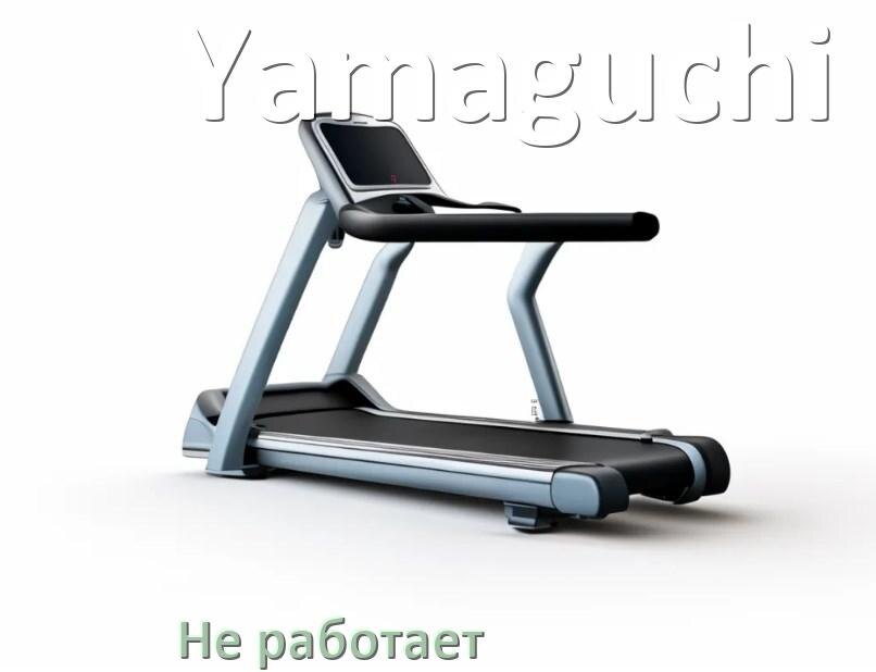 
Не работает беговая дорожка Yamaguchi и не включается что делать