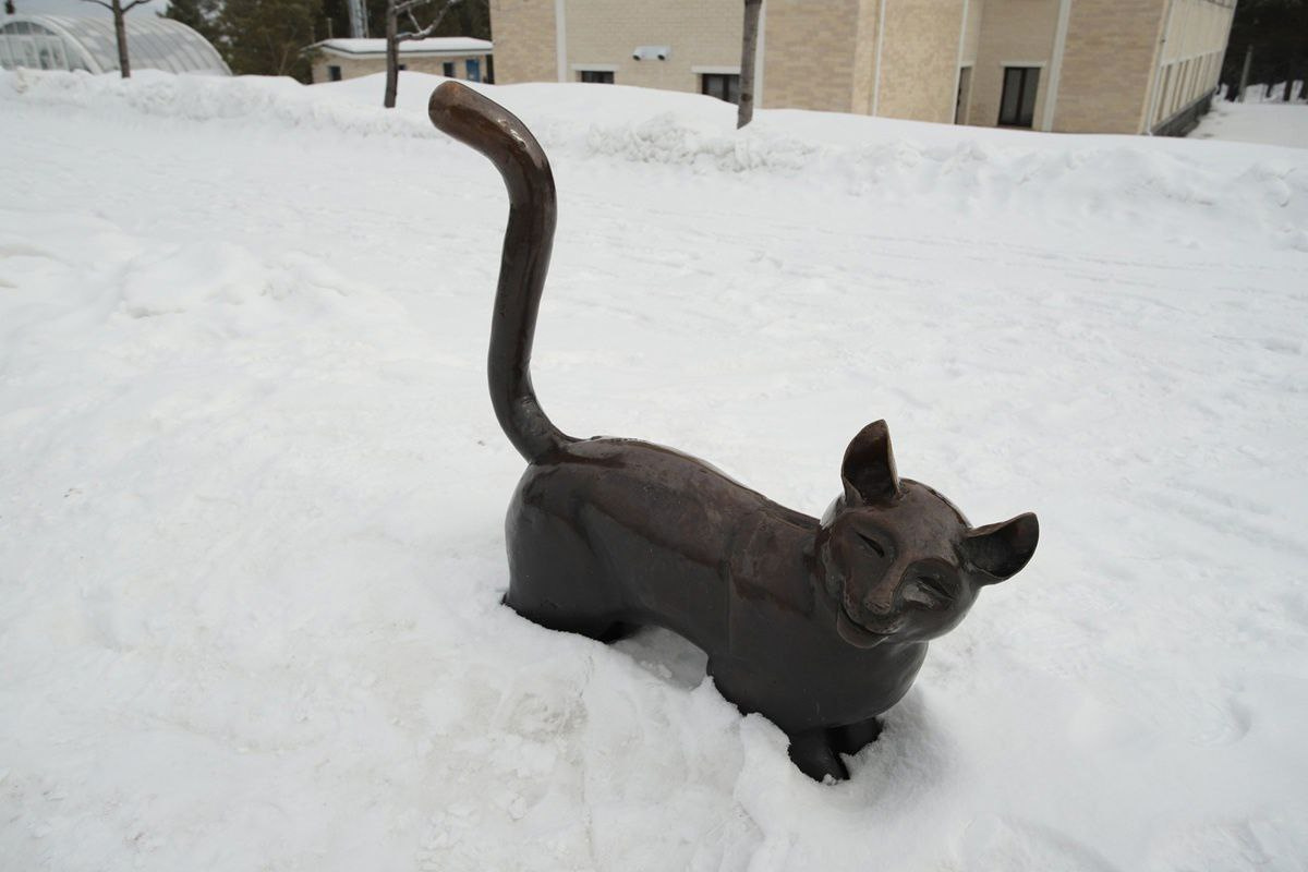    Фото: Юрия Елисеева предоставлено ИА «Уральский меридиан» клубом активного отдыха «Душа Урала»