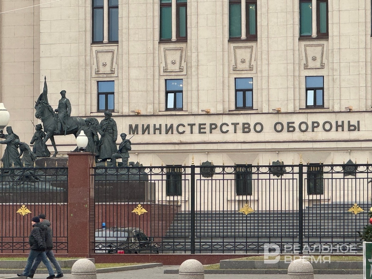   Дарья Пинегина / realnoevremya.ru