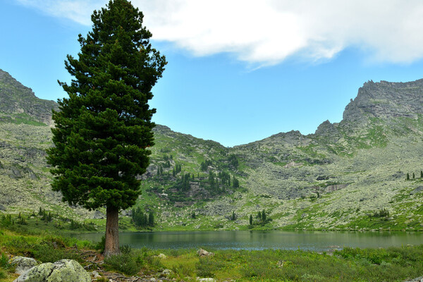 Alex Yellow/Shutterstock/FOTODOM   📷