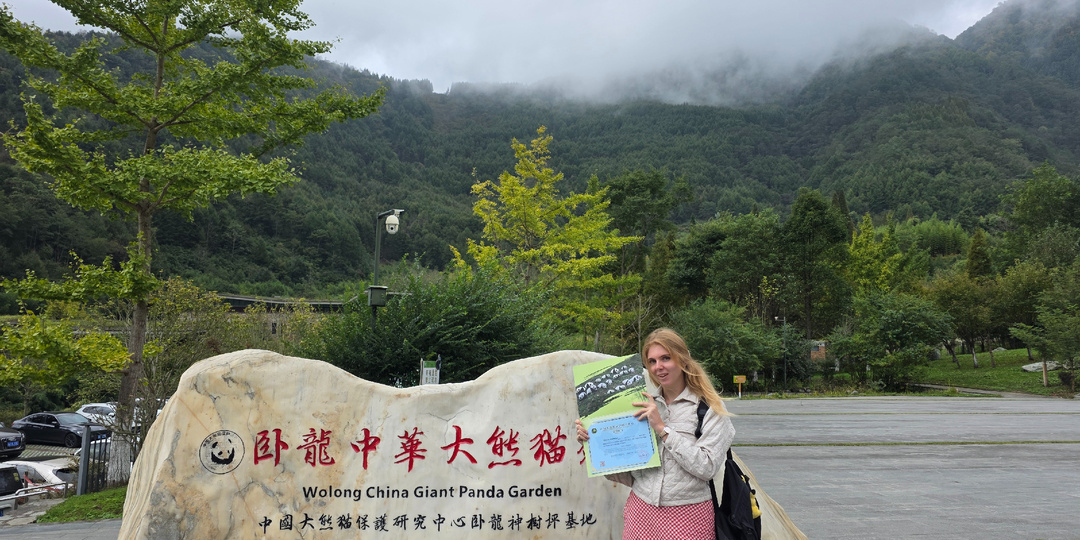 ГДЕ УВИДЕТЬ ПАНД В КИТАЕ. КАК Я СТАЛА ВОЛОНТЕРОМ В ЦЕНТРЕ РАЗВЕДЕНИЯ ПАНД В ЧЕНДУ