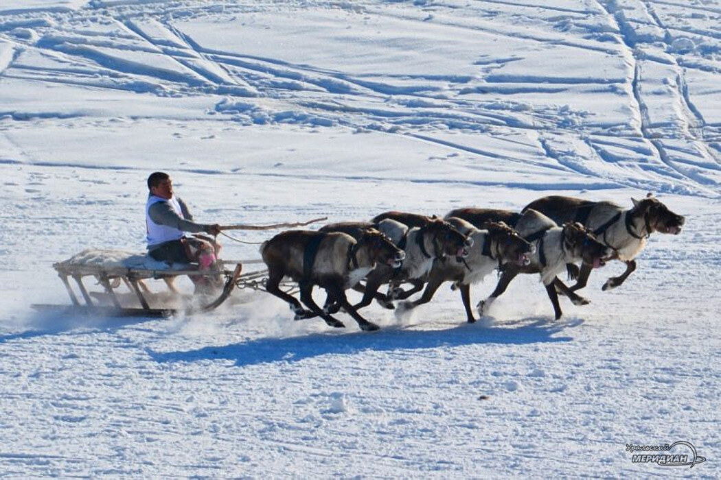    Фото Александр Аникин © ИА «Уральский меридиан»