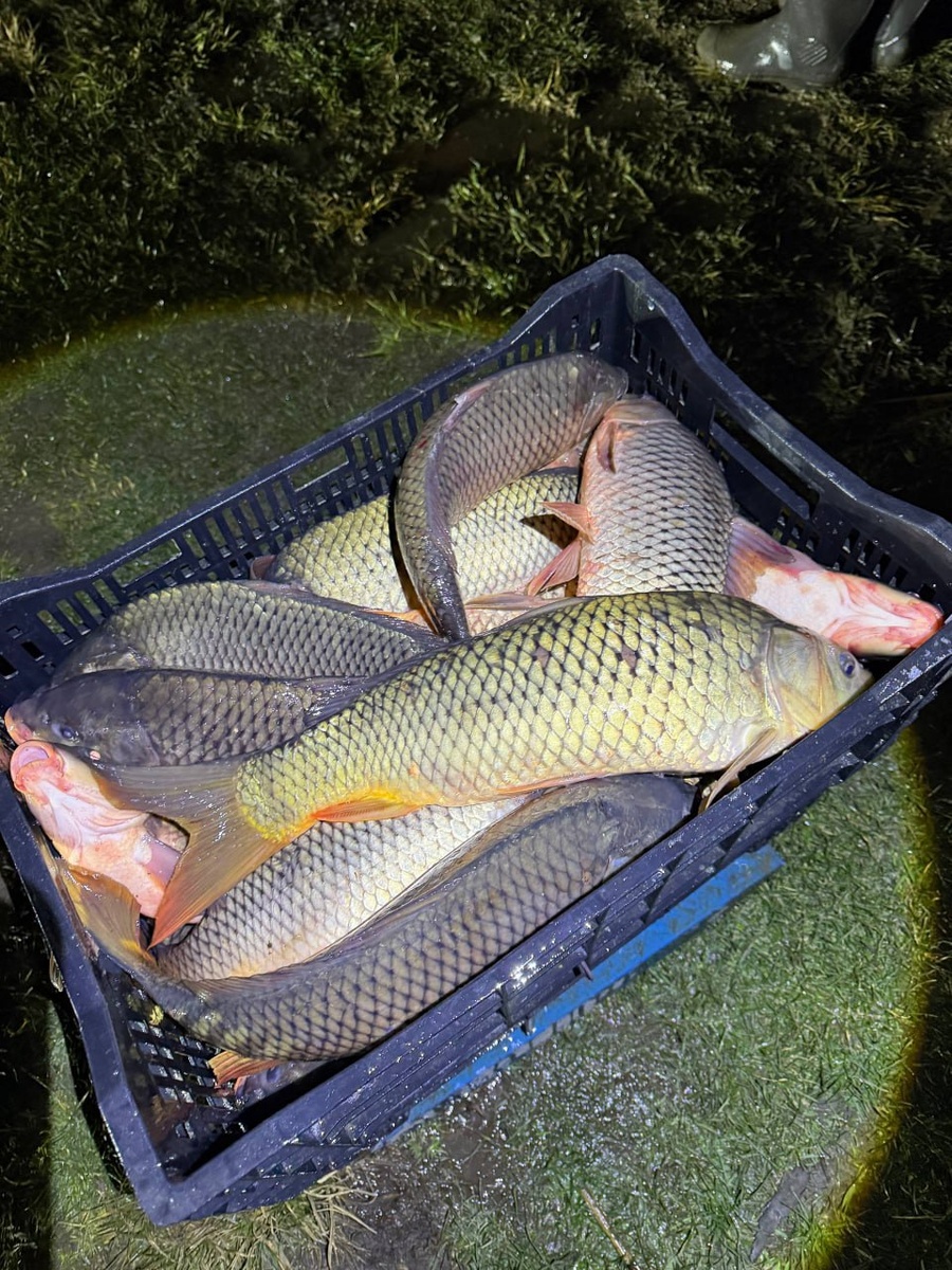 Зарыбленные водоемы Ставрополья