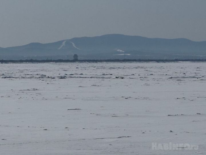    Фото:Ольга Дмитриева