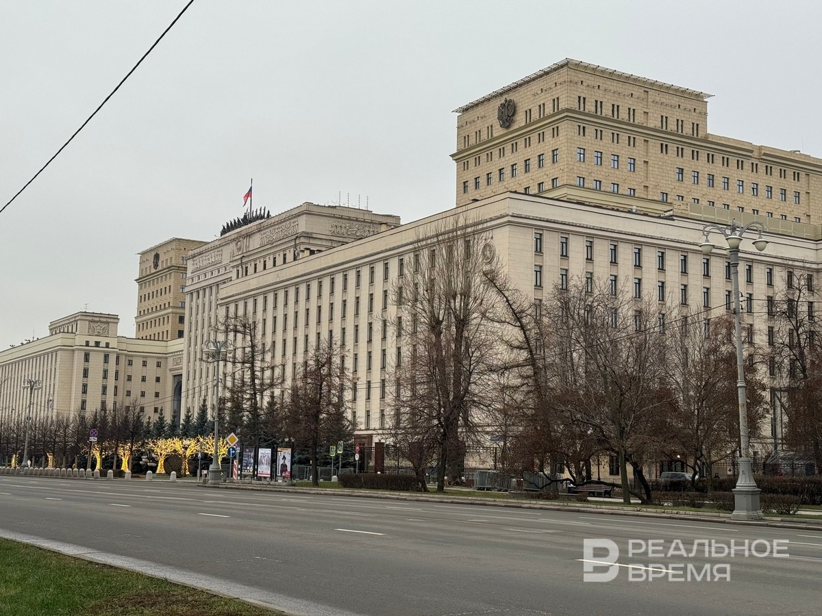   Дарья Пинегина / realnoevremya.ru