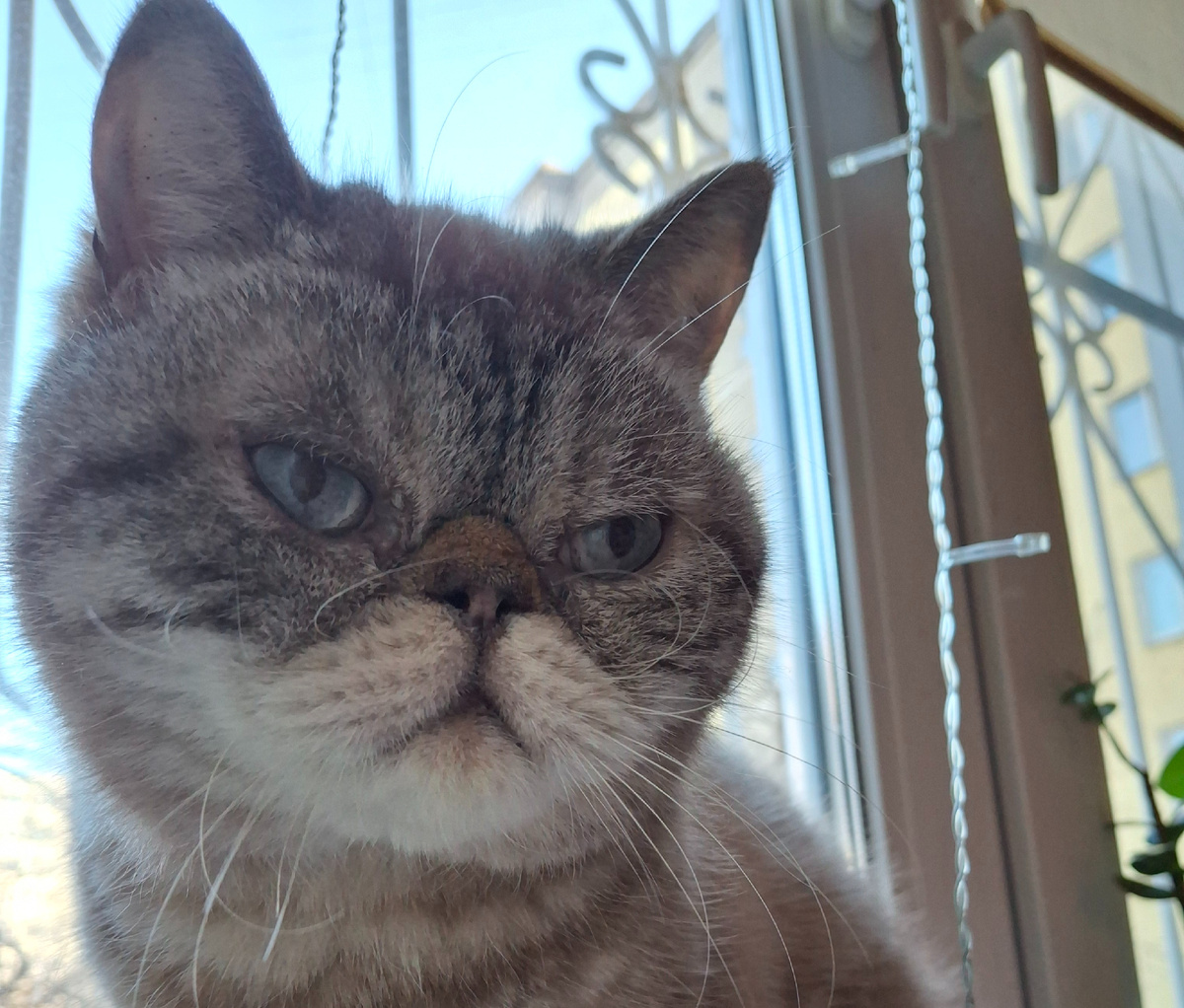 Как всегда презрительное отношение к миру.