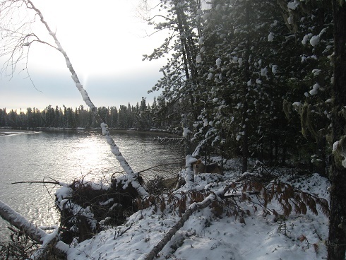 Фотографии Татьяны Немшановой разных лет. Осень таёжная, таёжная жизнь. Первый снег осени Сибири ХМАО Югра, лес северный таёжный. Река Манья.