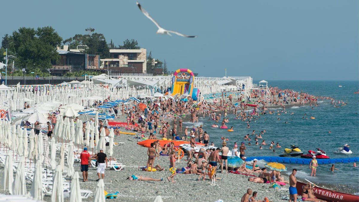 ©Администрация города Сочи/sochi.ru