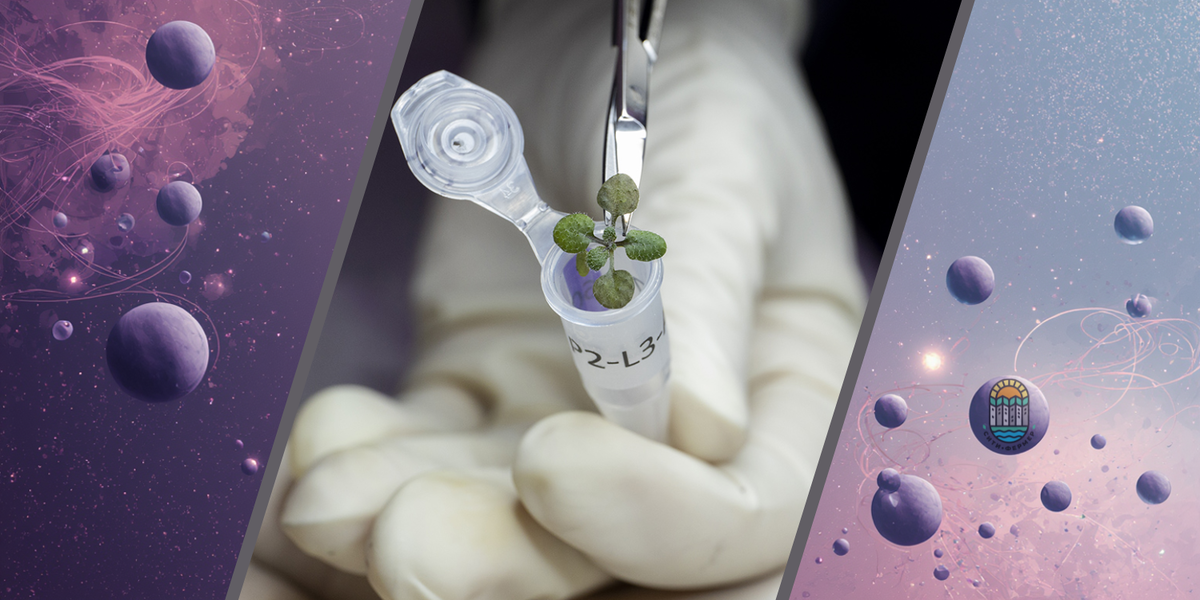 Фото: Tyler Jones/UF/IFAS