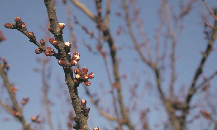 Начало сезона