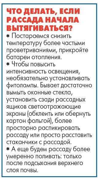    Начало сезона