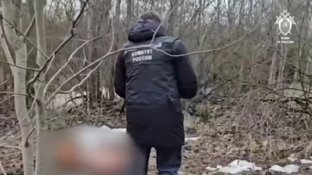    Фото: кадр видео ГСУ СК России по Петербургу